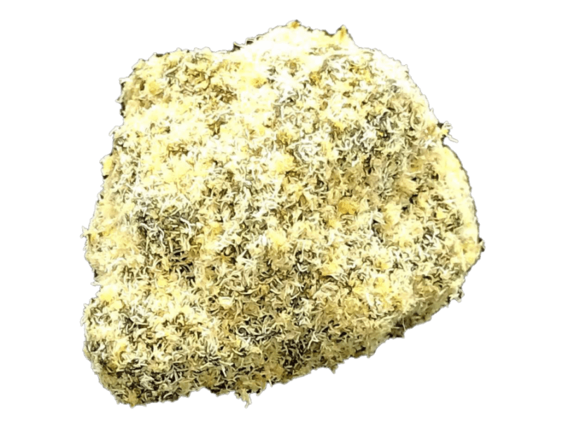 Macro shot of Bubble Hash Cosmos cannabis concentrate