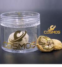 cosmos